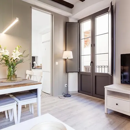 Luxury Bona Appartement